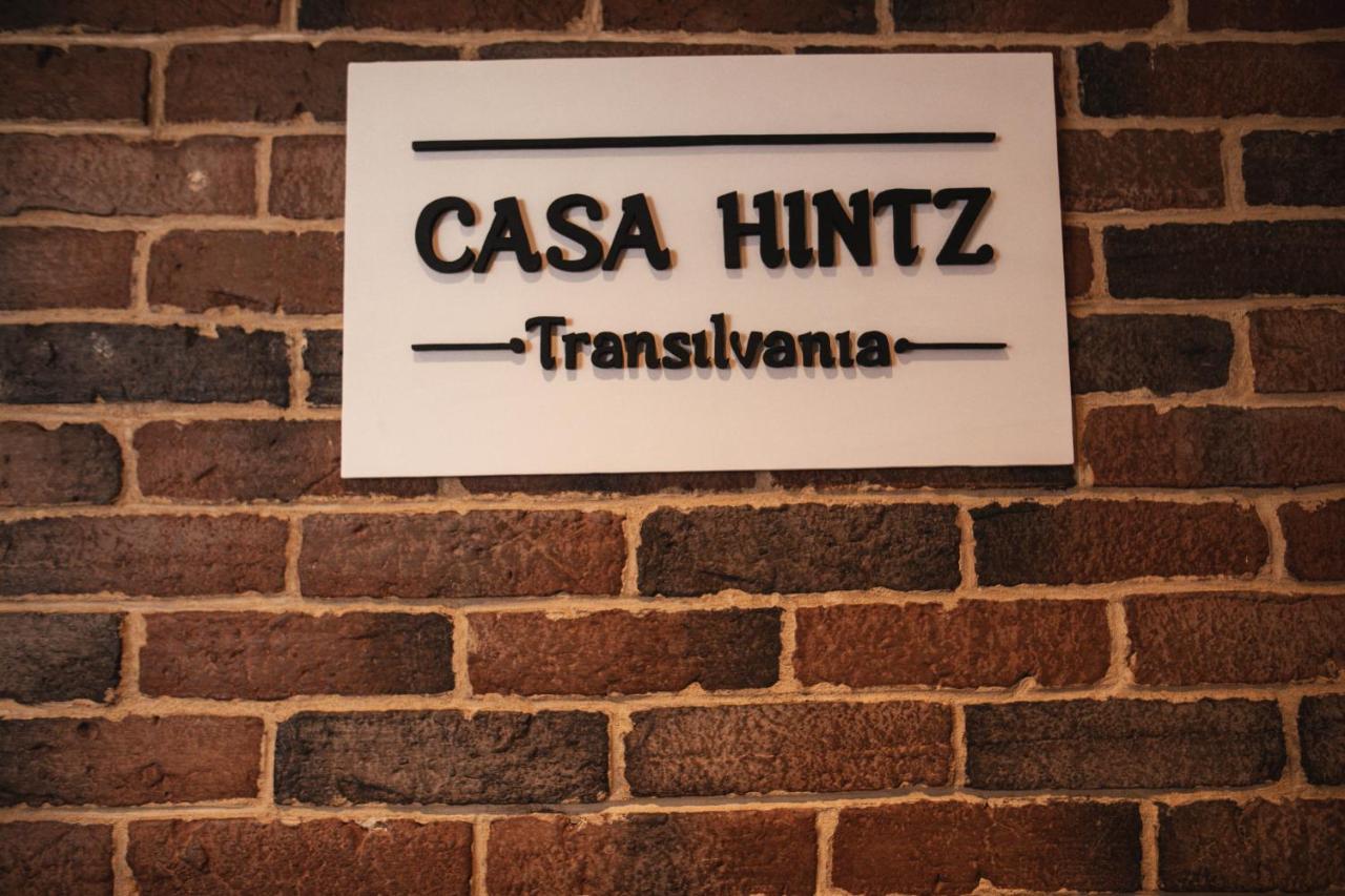 Casa Hintz Transilvania ฟาการาช ภายนอก รูปภาพ